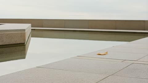Review 3